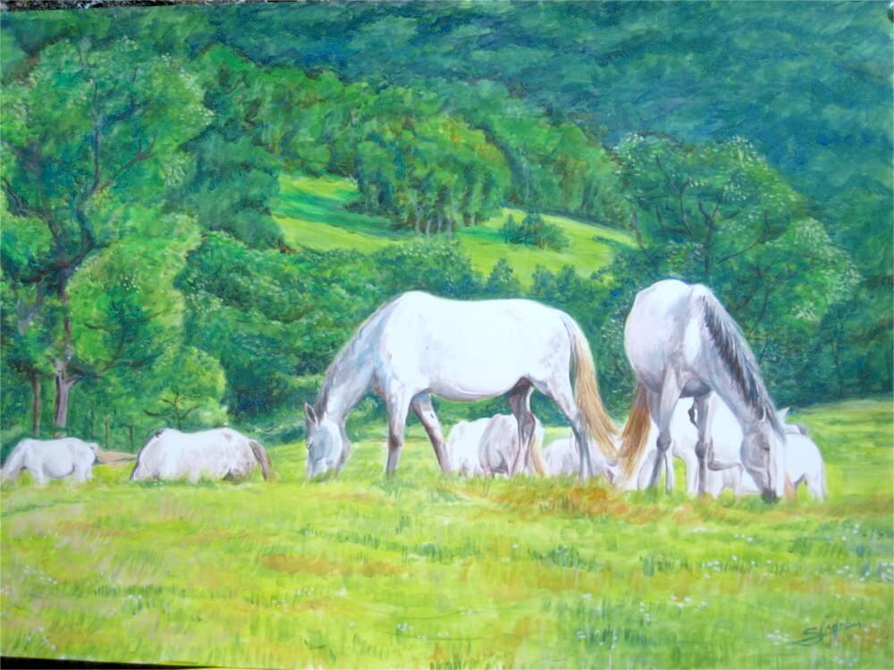 vista de la obra