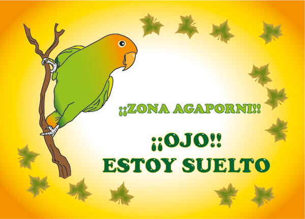 diseño de Alonso de Sousa