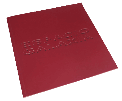 diseño de Alonso de Sousa