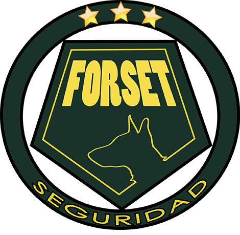 diseño de Alonso de Sousa