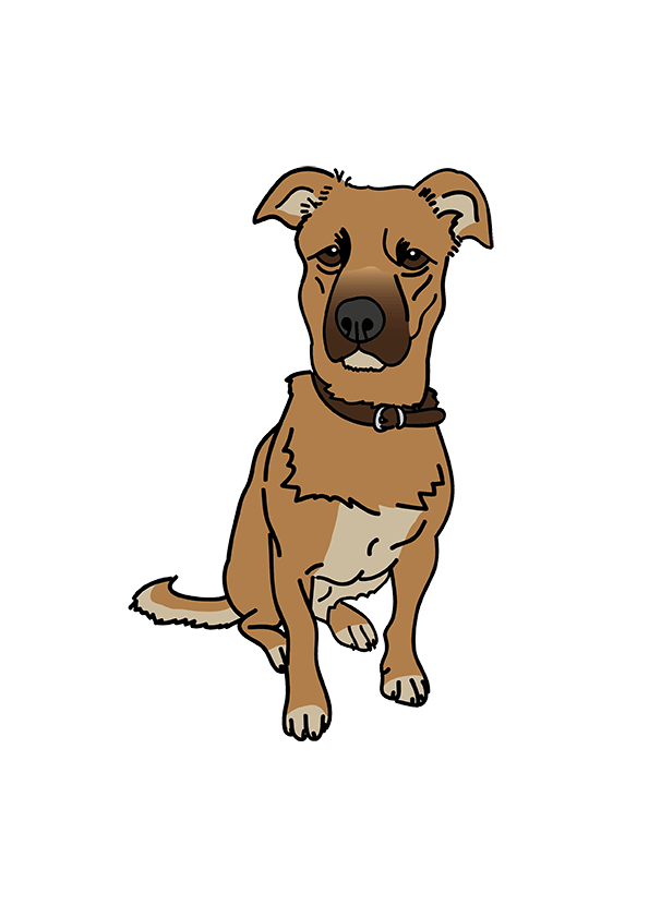 diseño de Alonso de Sousa