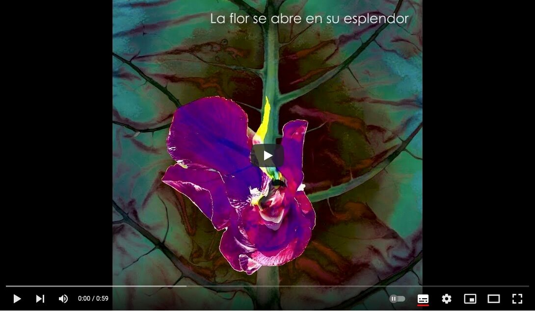 link al video